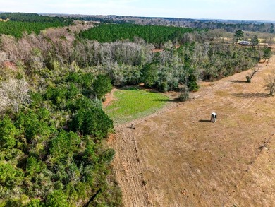 Located in Sandy Hook, this property offers the perfect - photo 27