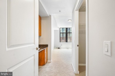 Welcome to Unit #627 at Clarendon 1021, a bright and beautifully - photo 31