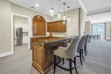Spectacular Downtown St. Pete Condo with Mesmerizing Waterfront - photo 41