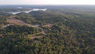 174 Surveyed Lake Lots in Edwards, MO for Sale - photo 29