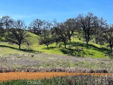 Lake Acreage For Sale in Lakeport, California