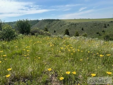 (private lake, pond, creek) Acreage For Sale in Ririe Idaho