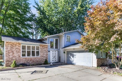 Lake Home For Sale in Twinsburg, Ohio