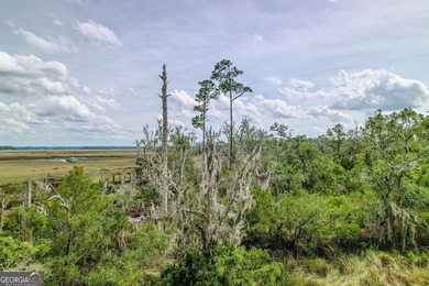 Check out this marsh-front 1.33 acre lot near the public boat - photo 12