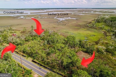 Check out this marsh-front 1.33 acre lot near the public boat - photo 13