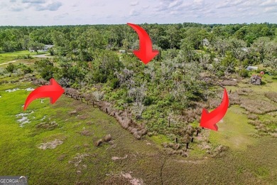 Check out this marsh-front 1.33 acre lot near the public boat - photo 15