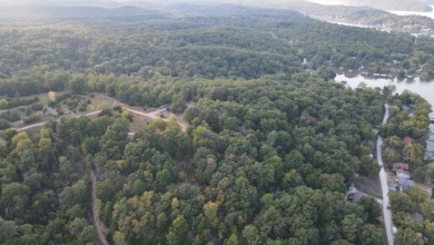 174 Surveyed Lake Lots in Edwards, MO for Sale - photo 21