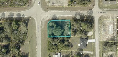 Lehigh Acres Area Lot For Sale in Lehigh Acres Florida
