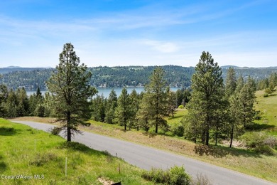 Elevated NEW construction Mountain Modern with LAKE VIEWS in The - photo 5