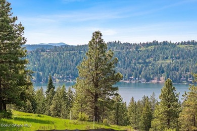 Elevated NEW construction Mountain Modern with LAKE VIEWS in The - photo 6