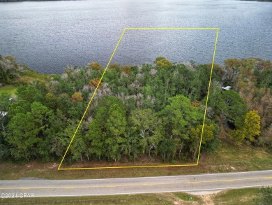 (private lake, pond, creek) Acreage For Sale in Caryville Florida