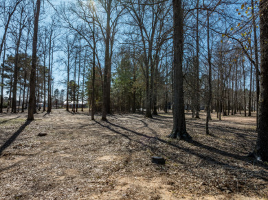 Waterfront Homesite in Prestigious Neighborhood on Lake Palestine - photo 6