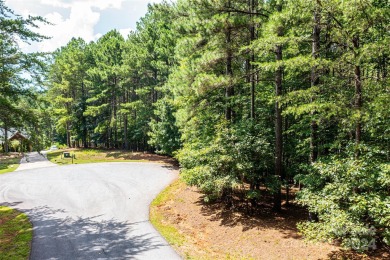 Lake Lot For Sale in Connelly Springs, North Carolina