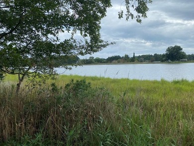 This 6.3 Acerage parcel has an amazing waterfront view. Located - photo 4