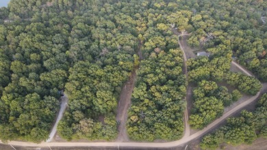 174 Surveyed Lake Lots in Edwards, MO for Sale - photo 23