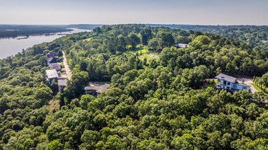 Come see this amazing lot with River Views and even views of the - photo 11