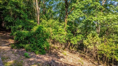 Come see this amazing lot with River Views and even views of the - photo 12
