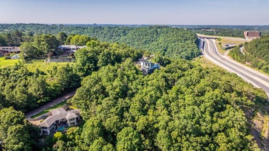Come see this amazing lot with River Views and even views of the - photo 15