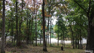 Lake Lot For Sale in Perryville, Missouri