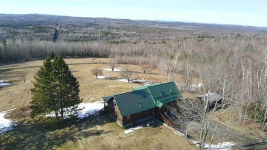 (private lake, pond, coastal) Home For Sale in Ripley Maine