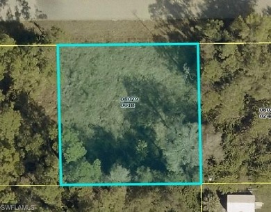 Lehigh Acres Area Lot For Sale in Lehigh Acres Florida