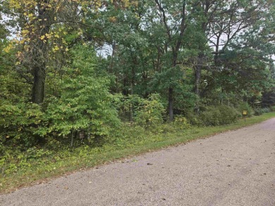Lake Lot For Sale in Mauston, Wisconsin