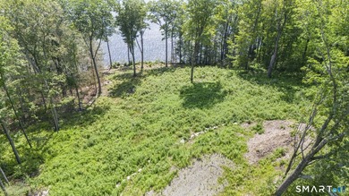 Set along the serene shores of Woodridge Lake, Lot 5 on Milton - photo 2