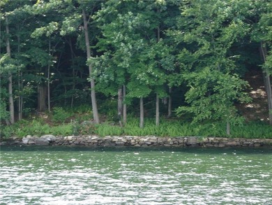 Set along the serene shores of Woodridge Lake, Lot 5 on Milton - photo 5