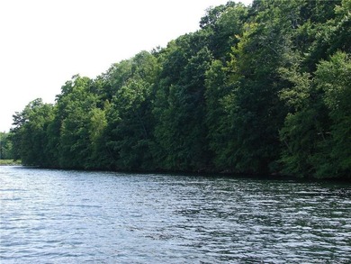 Set along the serene shores of Woodridge Lake, Lot 5 on Milton - photo 10
