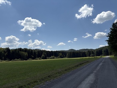 Beautiful property with room to roam on 102.23 acres in - photo 24