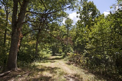 Beautiful property with room to roam on 102.23 acres in - photo 27