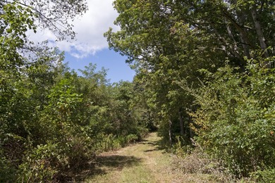 Beautiful property with room to roam on 102.23 acres in - photo 28