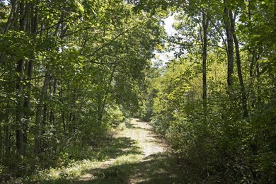 Beautiful property with room to roam on 102.23 acres in - photo 29