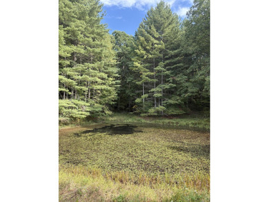 Beautiful property with room to roam on 102.23 acres in - photo 30