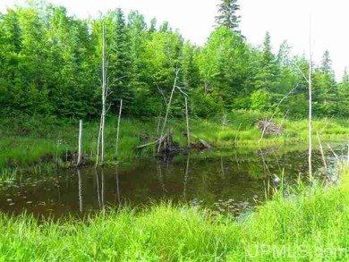 (private lake, pond, creek) Acreage For Sale in Greenland Michigan