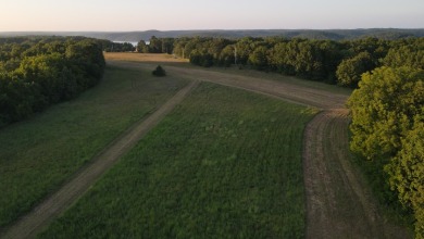174 Surveyed Lake Lots in Edwards, MO for Sale - photo 12