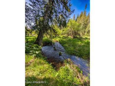 For the first time in over 60 years, one of Sagle's true legacy - photo 4