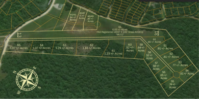 174 Surveyed Lake Lots in Edwards, MO for Sale - photo 2