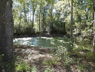 (private lake, pond, coastal) Acreage For Sale in Crawfordville Florida