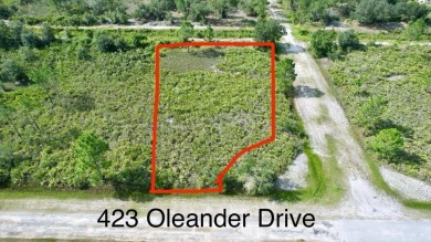 Lake Weohyakapka Lot For Sale in Indian Lake Estates Florida