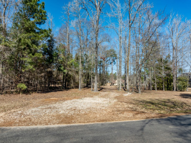 Waterfront Homesite in Prestigious Neighborhood on Lake Palestine - photo 7