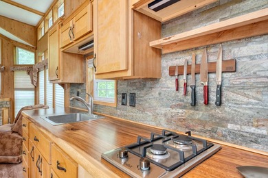 YOUR CHANCE TO STILL ENJOY A SEASONAL LAKESHORE HOME BEFORE - photo 15
