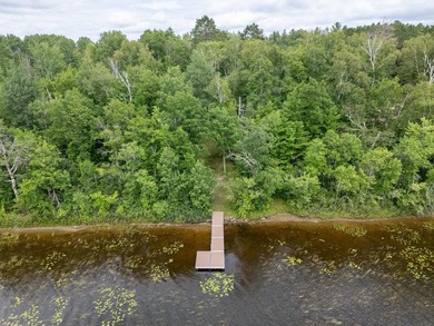 YOUR CHANCE TO STILL ENJOY A SEASONAL LAKESHORE HOME BEFORE - photo 40