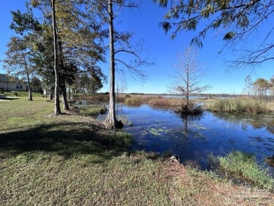 Lake Lot For Sale in Youngstown, Florida