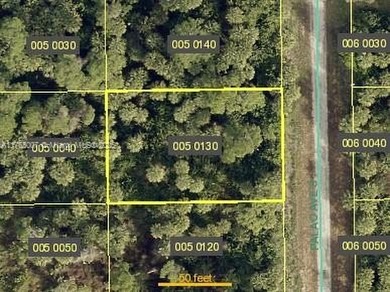 Lehigh Acres Area Lot For Sale in Lehigh Acres Florida