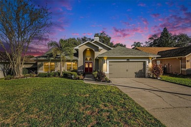 Lake Magdalene Home For Sale in Tampa Florida