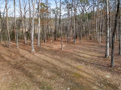 MOTIVATED SELLER!!! Enjoy the best of lake living just steps - photo 33