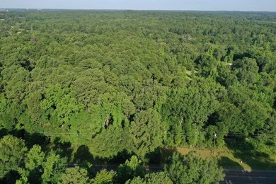 Endless potential awaits on this 7.8730 acre tract of unimproved - photo 2