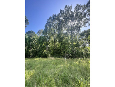 Endless potential awaits on this 7.8730 acre tract of unimproved - photo 4