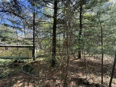FOR SALE: Ultimate Wooded Lake Retreat Near Goose LakeEscape to - photo 3